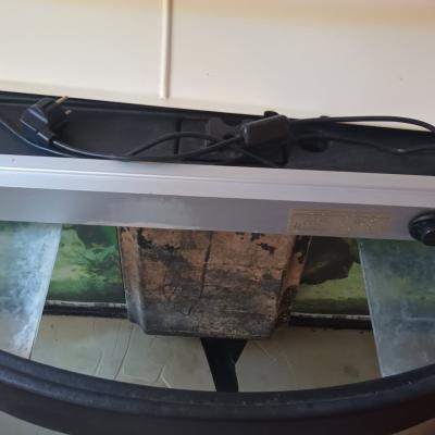 aquarium incurvé 120l + meuble