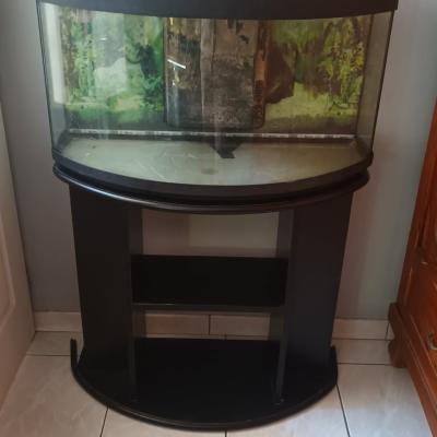 aquarium incurvé 120l + meuble