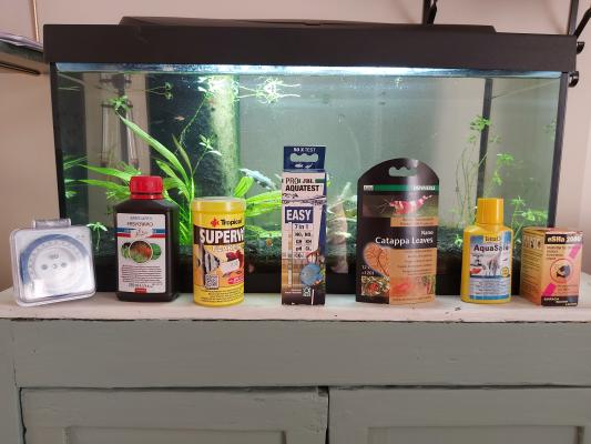 Vend aquarium rayé proche Lyon (+ fond d'eau avec crevettes)  (L60xH30xP30)