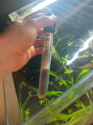 Vend aquarium rayé proche Lyon (+ fond d'eau avec crevettes)  (L60xH30xP30)