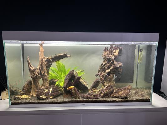 Aquarium