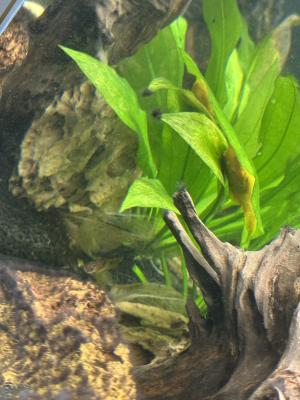 Aquarium