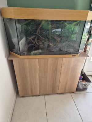Aquarium complet 270L