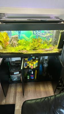agerichten Juwel Aquarium inklusiv Ennerschaaf, Fësch an emfangreichem Zoubehör
