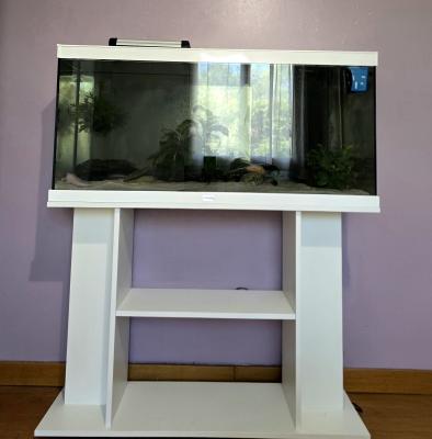 2 axolotls + aquarium Aquadisio 120 l