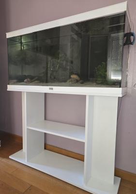 2 axolotls + aquarium Aquadisio 120 l