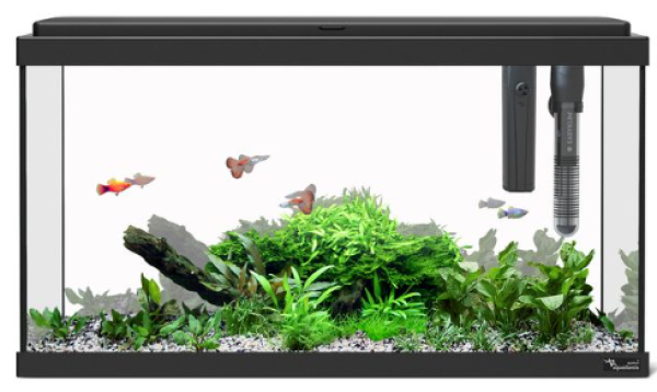 Aquarium 54L