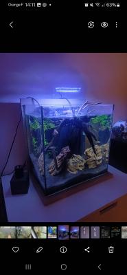 Entretien d'aquarium à domicile