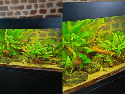 Aquarium 200L Aquael Optiset avec meuble + filtre externe Eheim + osmoseur