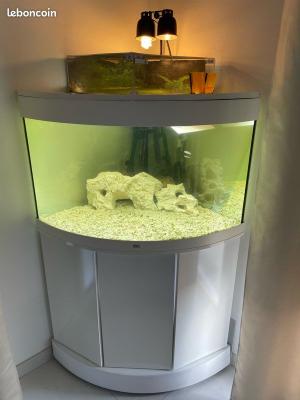 Aquarium Juwel trigon 190 angle avec meuble Blanc + pompe Eihem Pro 3 1250 L/h + accessoires
