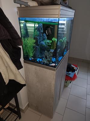 Aquarium