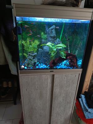 Aquarium