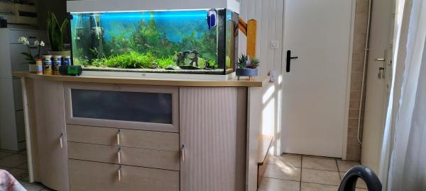 aquarium Juwel RIO 240 L