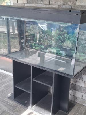 Vente Aquarium avec Meuble