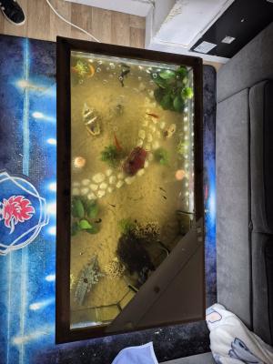 Table basse aquarium