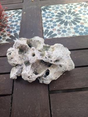 Vente de matériel et accessoires d’aquarium