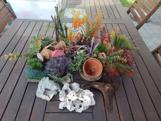 Vente de matériel et accessoires d’aquarium