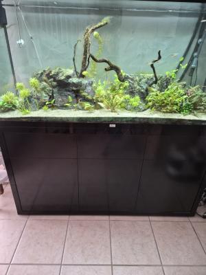 Aquarium aquatlantis + meuble
