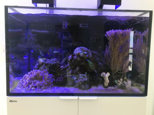 Red Sea Reefer 300 XL