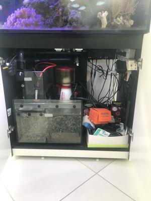 Red Sea Reefer 300 XL