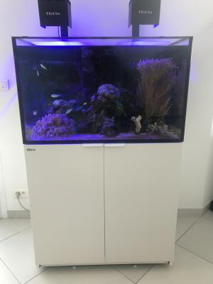 Red Sea Reefer 300 XL