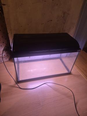 Vends aquarium avec néon