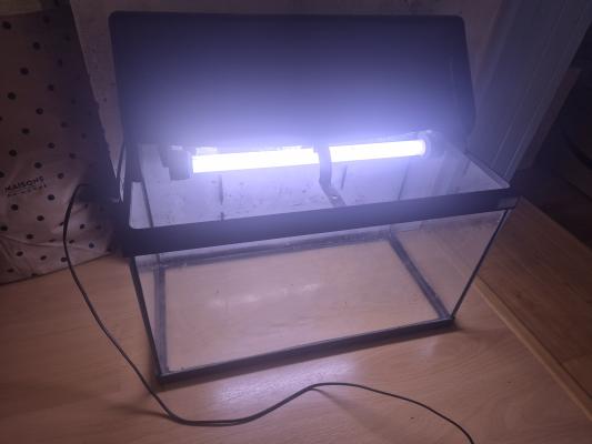 Vends aquarium avec néon