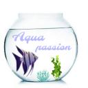 Avatar de Aqua passion
