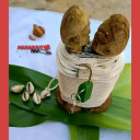 Avatar de Maître voyant