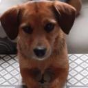 Avatar de Jean Marc Deschauwer