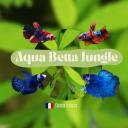 Avatar de Aqua Betta Jungle