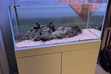 Aquarium 160 litres