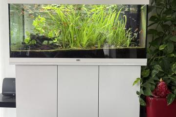 Aquarium Juwel Rio 180 LED + meuble, poissons, accessoires