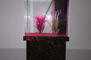 Aquarium colonne avec accessoires