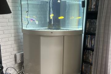 Ensemble aquarium juwel 190 litre