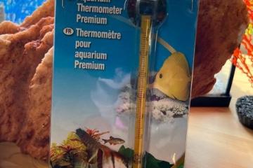 Thermomètre aquarium