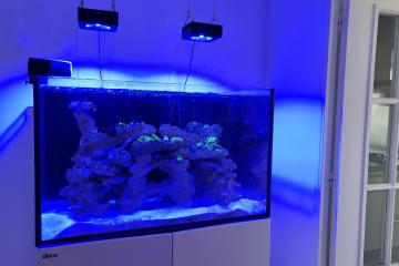 Aquarium Redsea Reefer 300 XL