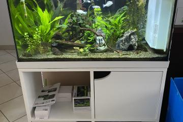 Aquarium ZOLUX ISEO 80 et son meuble