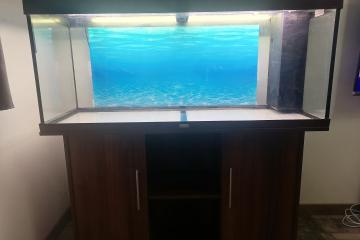 Aquarium juwel 250 l avec meuble pompe et chauffage