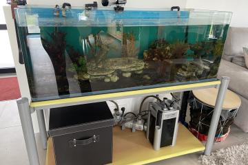 Aquarium complet 220 litres