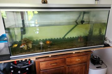 Aquarium 450l