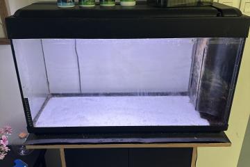 Aquarium 100 l