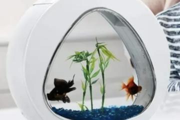 Aquarium 13l