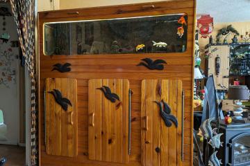 aquarium complet