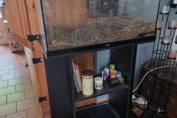 Aquarium