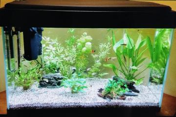 Aquarium hexagonal