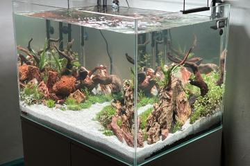 Kit aquarium + meuble - EHEIM Proxima Scape 175 L  - Quasi neuf