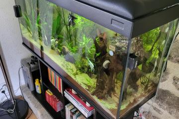 Aquarium 300 l