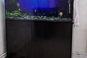 Aquarium 240 litres, son meuble et matériel