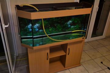 Juwel Panorama 200 litres avec meuble